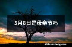 5月8日是母亲节吗