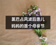 氯巴占风波后患儿妈妈的首个母亲节