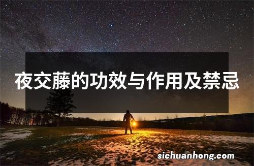 夜交藤的功效与作用及禁忌