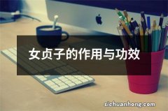 女贞子的作用与功效