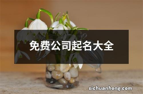 免费公司起名大全