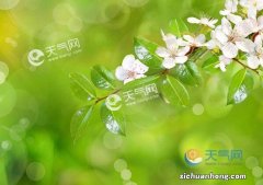 春分节气 天气不好有什么说法