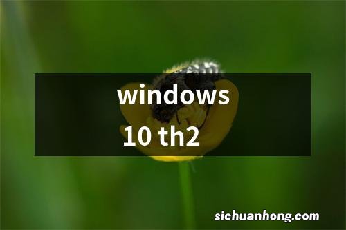 windows 10 th2