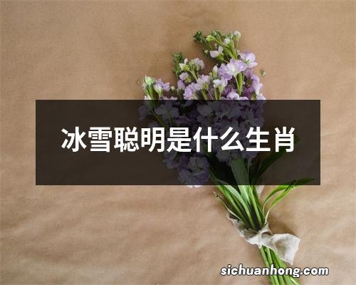 冰雪聪明是什么生肖