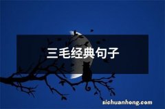 三毛经典句子