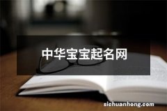 中华宝宝起名网