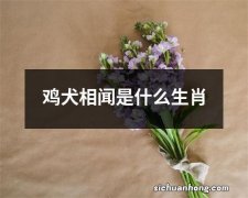 鸡犬相闻是什么生肖