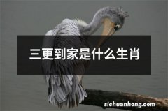 三更到家是什么生肖