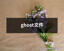 ghost文件