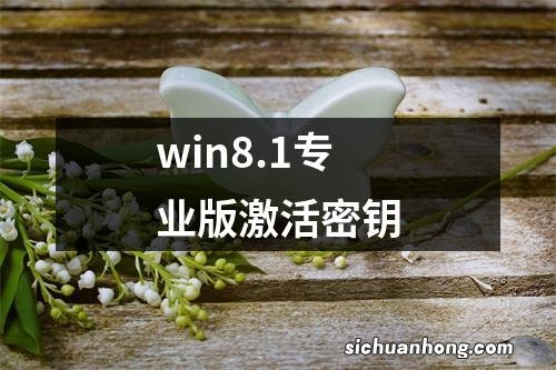 win8.1专业版激活密钥