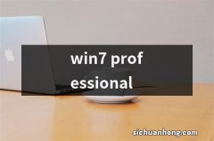 win7 professional