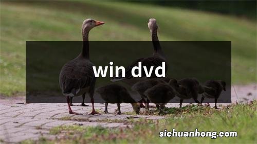 win dvd