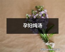 孕妇炖汤