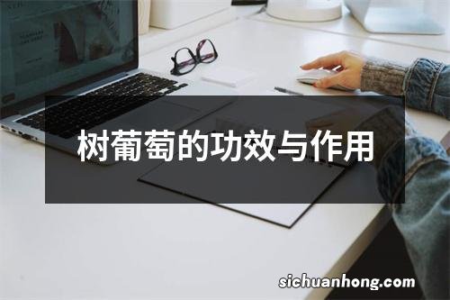 树葡萄的功效与作用