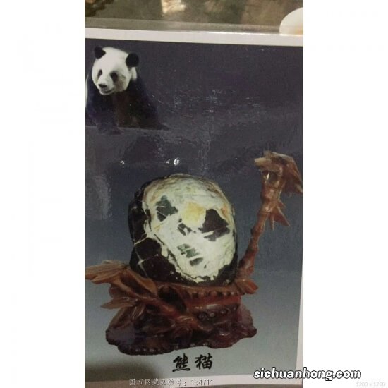 世界上最珍贵的宝物 世界上最珍贵的动物