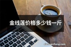 金线莲价格多少钱一斤