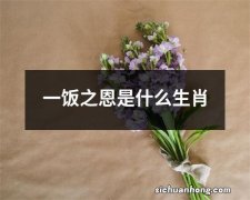 一饭之恩是什么生肖