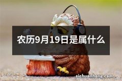 农历9月19日是属什么