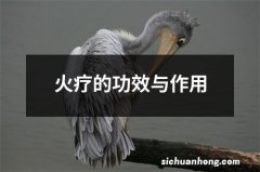 火疗的功效与作用