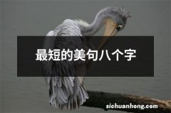 最短的美句八个字