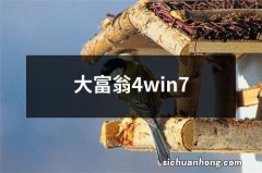 大富翁4win7