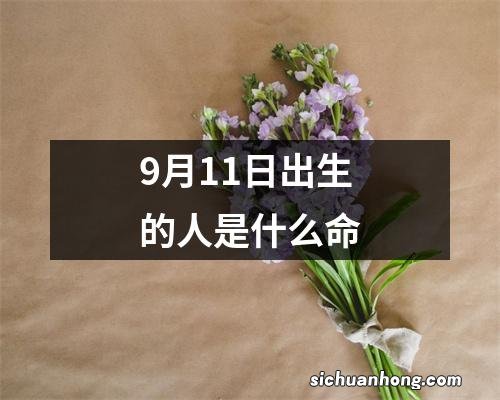 9月11日出生的人是什么命