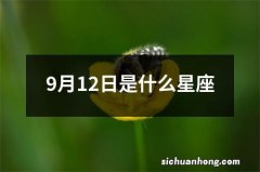 9月12日是什么星座