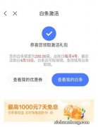 怎么开通京东白条最新版