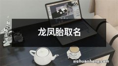 龙凤胎取名