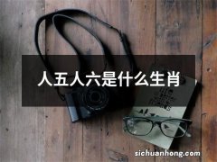 人五人六是什么生肖