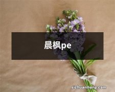 晨枫pe