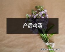 产后鸡汤