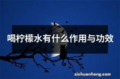 喝柠檬水有什么作用与功效