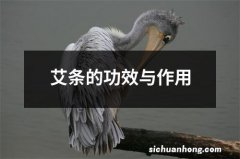 艾条的功效与作用