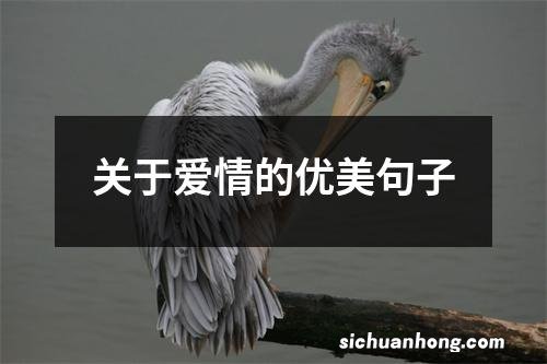 关于爱情的优美句子