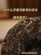 什么是普洱茶 什么普洱茶是最好的？