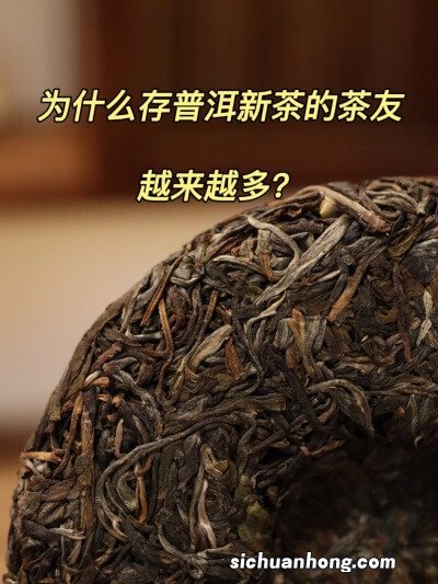 什么是普洱茶 什么普洱茶是最好的？