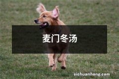 麦门冬汤