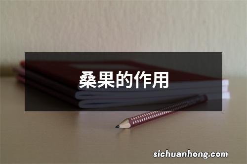 桑果的作用