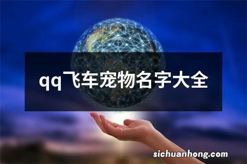 qq飞车宠物名字大全