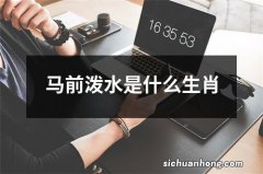 马前泼水是什么生肖