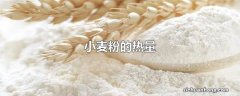 全麦面粉和普通面粉混合能减肥吗 全麦面需要加白面吗？