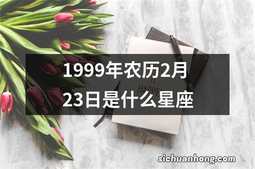 1999年农历2月23日是什么星座