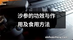 沙参的功效与作用及食用方法