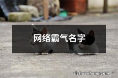 网络霸气名字