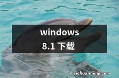 windows 8.1 下载