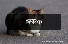 绿茶xp