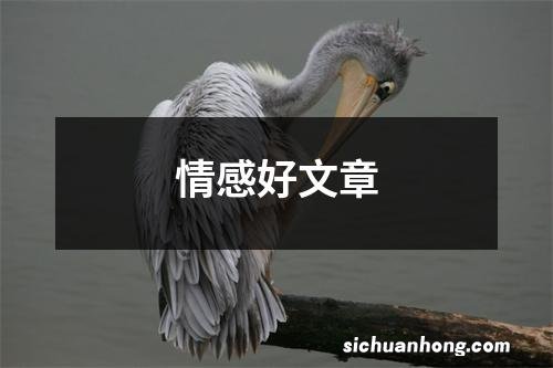 情感好文章