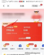 京东白条额度一般是多少？ 京东白条可用额度800