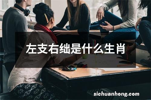 左支右绌是什么生肖